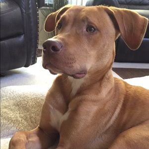 Meet your Posher, Cameron